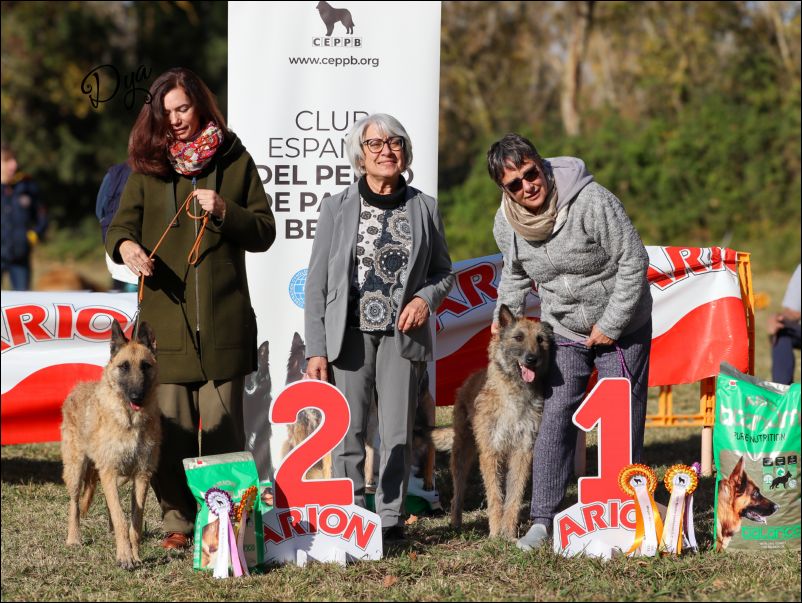 Elecci�n MR laekenoi.